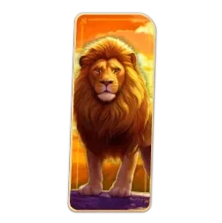 Lion
Safari